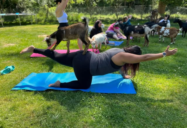 joga