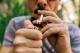 ИЈЗ: Бројот на активни пушачи во Македонија е 45,4 отсто
